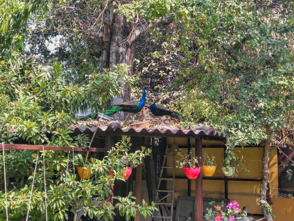 Room No. 3 with Private Patio - View 3